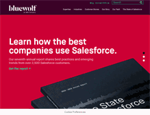 Tablet Screenshot of bluewolf.com